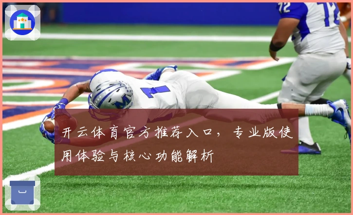 开云体育官方推荐入口，专业版使用体验与核心功能解析