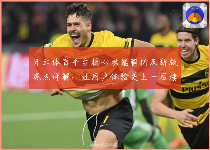 开云体育平台核心功能解析及新版亮点详解,让用户体验更上一层楼