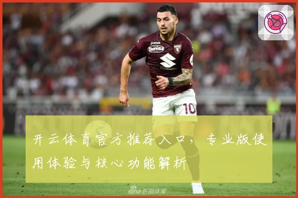 开云体育官方推荐入口，专业版使用体验与核心功能解析